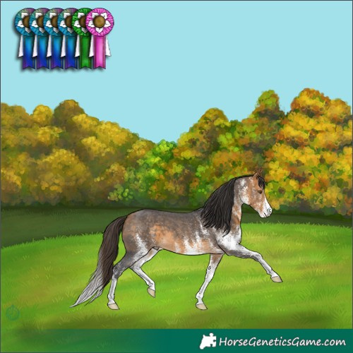 Horse Color:White Spotted Buckskin 