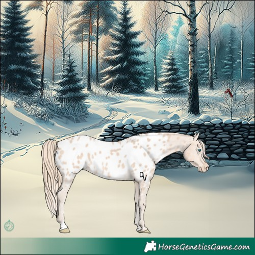 Horse Color:Perlino Near Leopard 