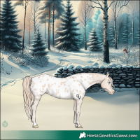 Horse Color:Perlino Near Leopard 