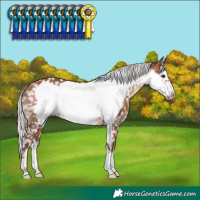 Horse Color:Silver Brown Frame Snowflake Varnish
