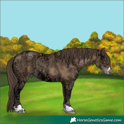 Horse Color:Amber Champagne Ice