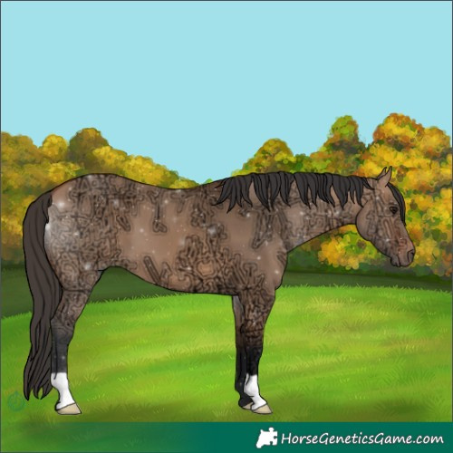 Horse Color:Bay Ice Dun 