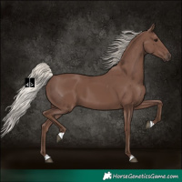 Horse Color:Silver Black 