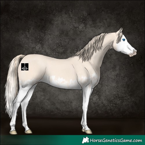 Horse Color:Perlino Splash and Perlino Splash Rabicano
