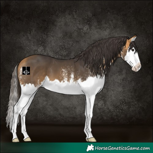 Horse Color:White Spotted Buckskin Splash 