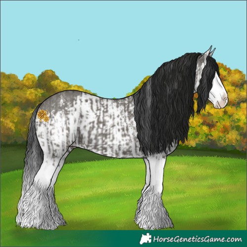 Horse Color:Grullo Sabino Splash  and Gray Grullo Sabino Splash 
