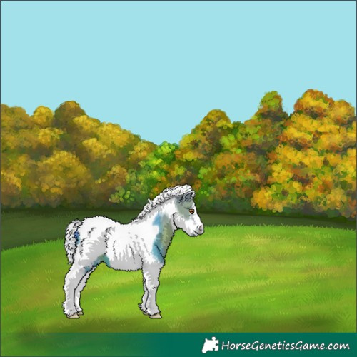 Horse Color:Watercolor Silver Grullo Tobiano Frame Appaloosa 