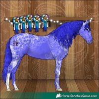 Horse Color:Watercolor Black Ice 