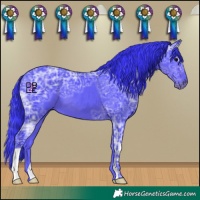Horse Color:Watercolor Black Ice 