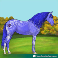 Horse Color:Watercolor Black Ice 