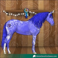 Horse Color:Watercolor Black Ice 