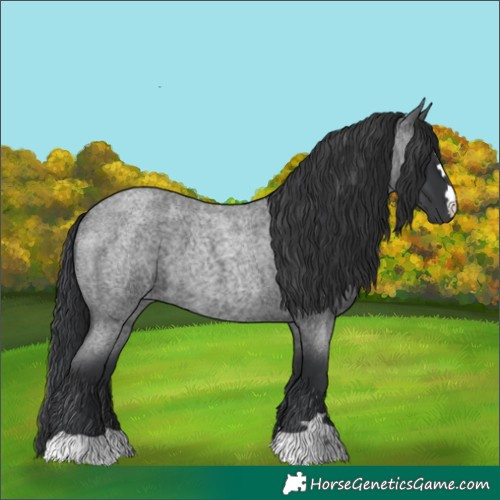 Horse Color:Blue Roan