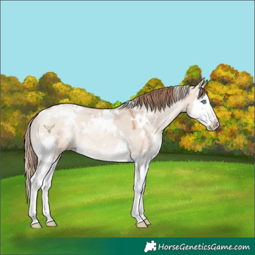 Horse Color:White Spotted Brown Pearl Dun Mushroom Splash 