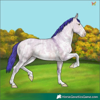 Horse Color:Watercolor Amber Champagne Ice Dun Sabino