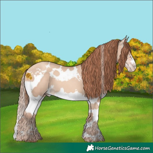 Horse Color:Gold Champagne Dun Splash Tobiano 