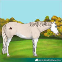 Horse Color:Chocolate Smoky Creme Splash 