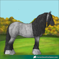 Horse Color:Blue Roan 