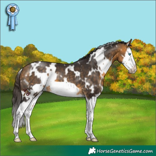 Horse Color:White Spotted Buckskin Splash Frame 