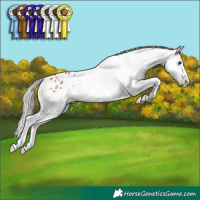 Horse Color:White Spotted Silver Bay Dun Appaloosa 