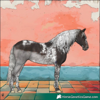 Horse Color:Silver Brown Tobiano Frame 