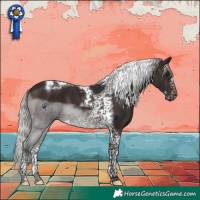 Horse Color:Silver Brown Tobiano Frame 
