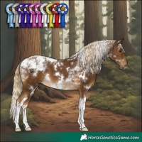 Horse Color:White Spotted Chocolate Palomino Tobiano