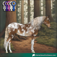 Horse Color:White Spotted Chocolate Palomino Tobiano 