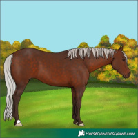 Horse Color:Silver Brown 