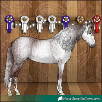 Horse Color:Gray Chocolate Black and Gray Chocolate Black