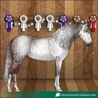 Horse Color:Gray Chocolate Black  and Gray Chocolate Black 