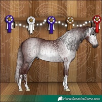 Horse Color:Gray Chocolate Black  and Gray Chocolate Black 