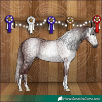 Horse Color:Gray Chocolate Black  and Gray Chocolate Black 