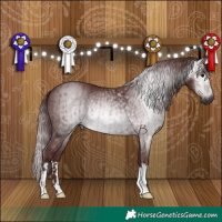 Horse Color:Gray Chocolate Black  and Gray Chocolate Black 