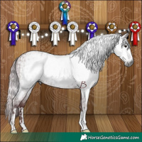 Horse Color:Gray Chocolate Black and Gray Chocolate Black