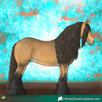 Horse Color:Buckskin 