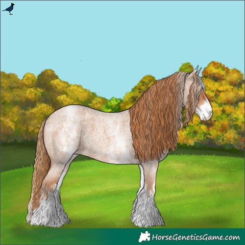 Horse Color:White Spotted Red Roan 