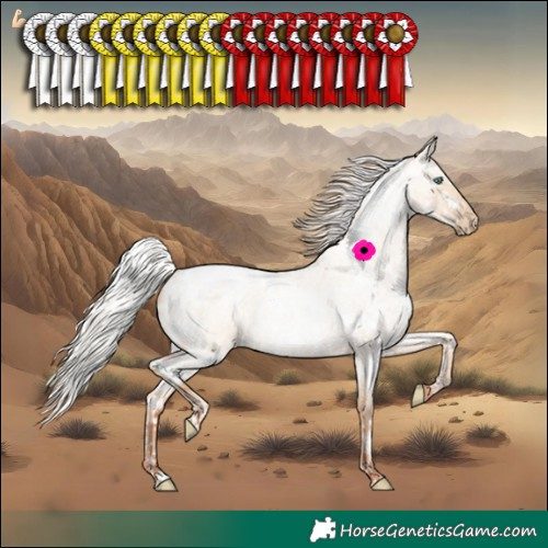 Horse Color:Silver Classic Champagne Roan Pearl Dun Splash Tobiano Rabicano  and White Spotted Silver Classic Champagne Roan Pearl Dun Rabicano 