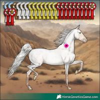 Horse Color:Silver Classic Champagne Roan Pearl Dun Splash Tobiano Rabicano  and White Spotted Silver Classic Champagne Roan Pearl Dun Rabicano 