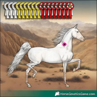 Horse Color:Silver Classic Champagne Roan Pearl Dun Splash Tobiano Rabicano  and White Spotted Silver Classic Champagne Roan Pearl Dun Rabicano 