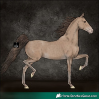 Horse Color:Classic Champagne