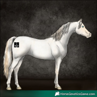 Horse Color:Buckskin Roan Pearl  and Silver Buckskin Roan Pearl 