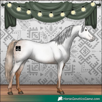 Horse Color:Gray Chestnut 