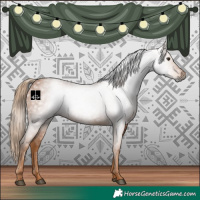 Horse Color:Gray Chestnut 