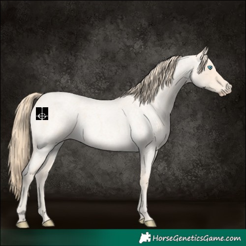 Horse Color:Perlino Roan 