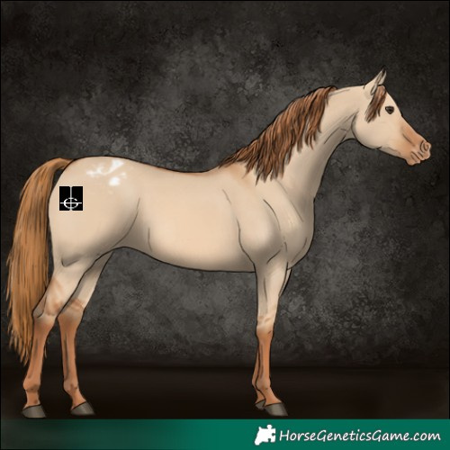 Horse Color:Red Dun Varnish 