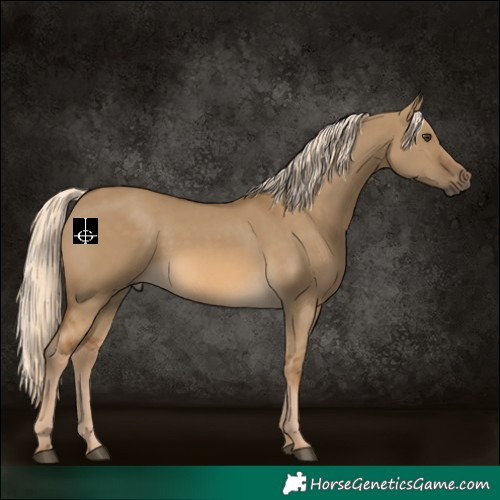 Horse Color:Chocolate Palomino Dun Rabicano 