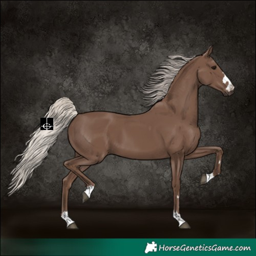 Horse Color:Silver Black 