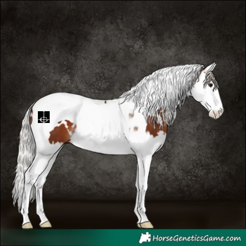 Horse Color:White Spotted Silver Brown Splash Tobiano 