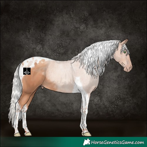 Horse Color:Silver Classic Champagne Tobiano Rabicano 