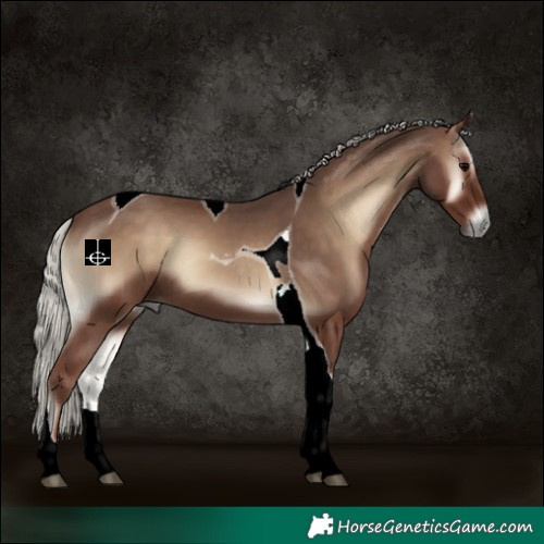 Horse Color:Silver Blue Onyx Tobiano 